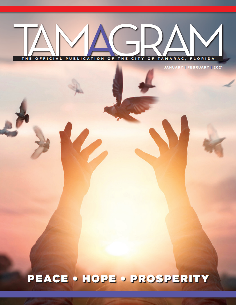 Hands and a Dove flying