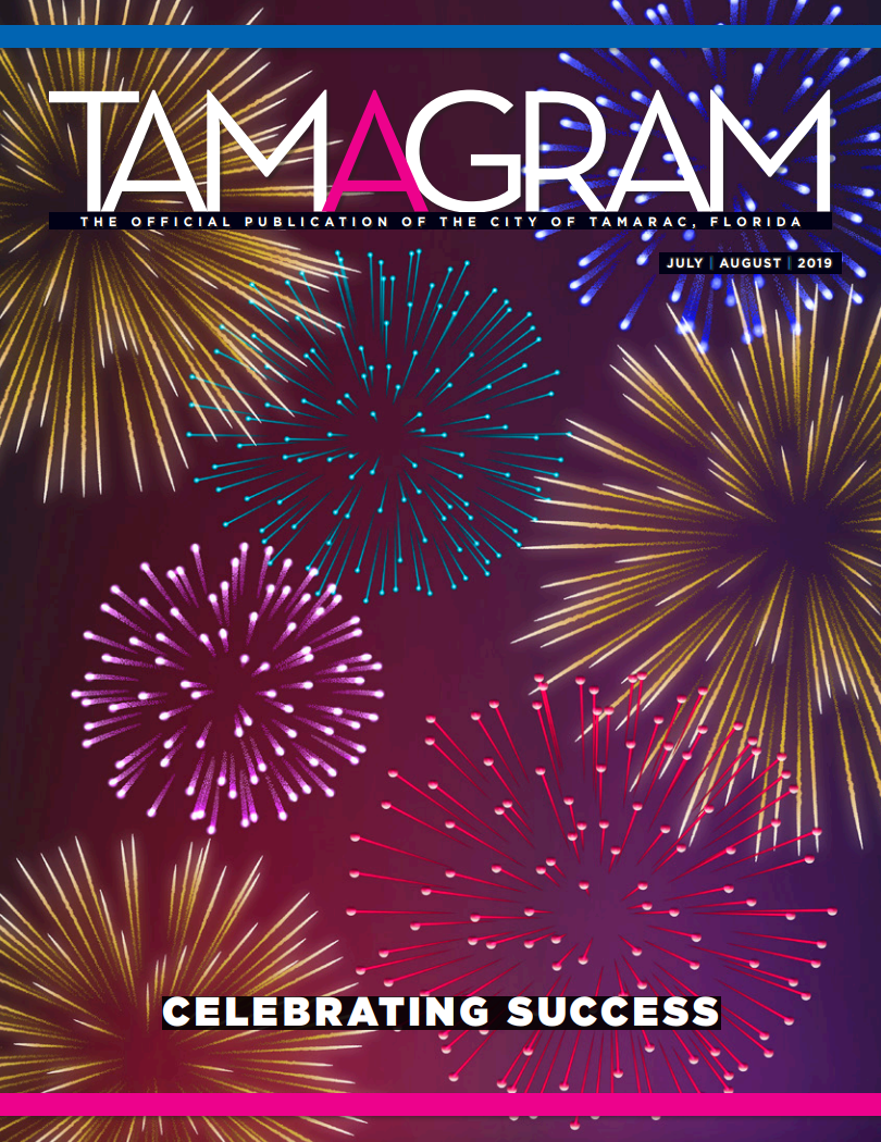 Fireworks in the dark sky