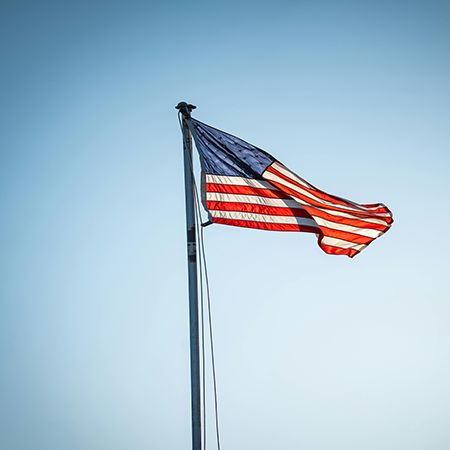 Government & Elections