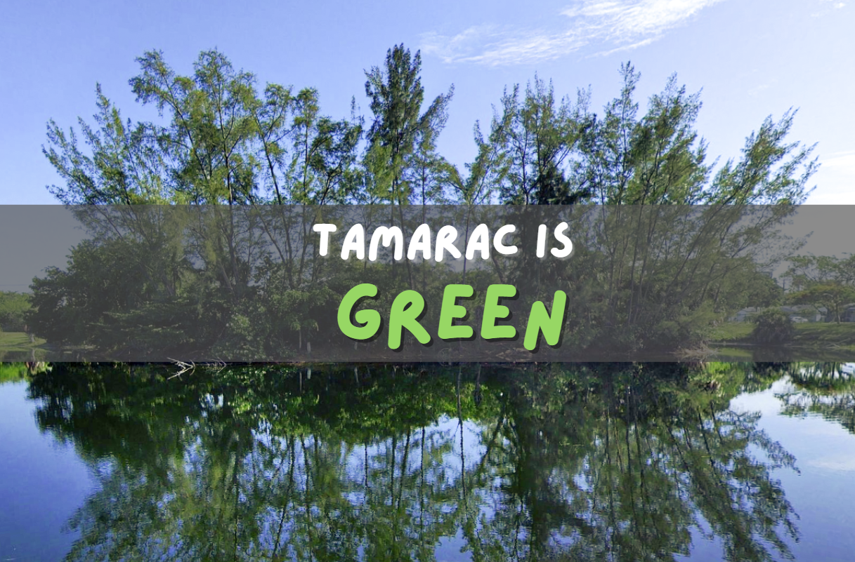 Tamarac is Green