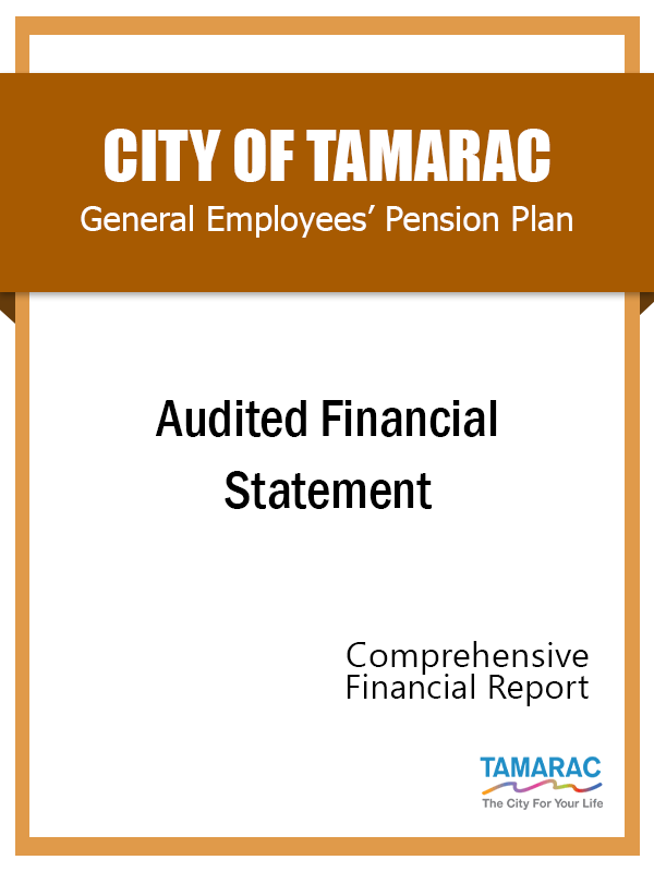GE Audited Financial Statement FY 2021